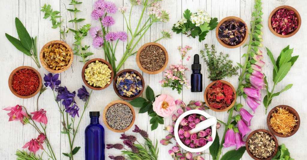 Prodotti-e-cure-naturali-per-influenza-stagionale