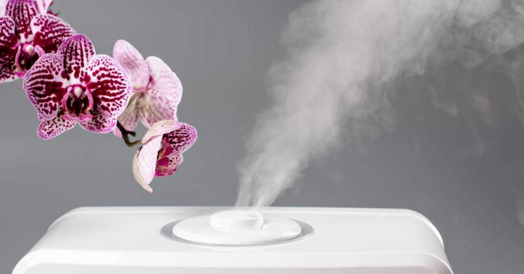 Umidificatore-Per-La-Casa